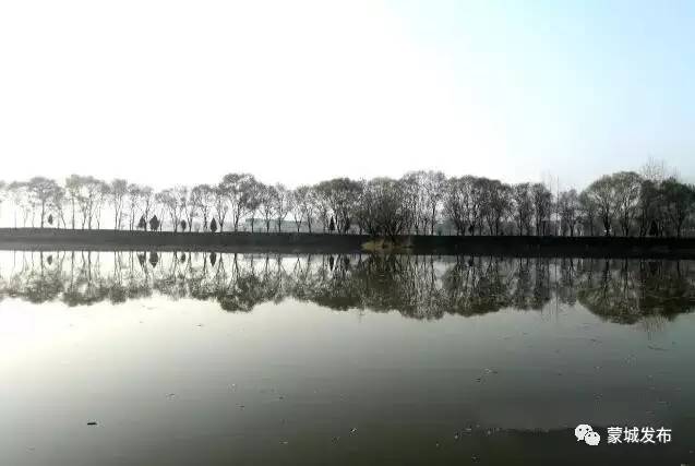 蒙城湿地公园最新消息，生态建设的璀璨明珠