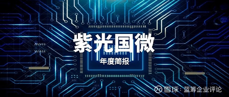 紫光国微最新消息，引领技术革新，塑造行业未来