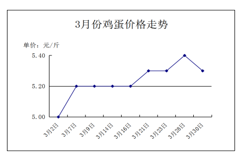 决明子价格2022最新行情分析